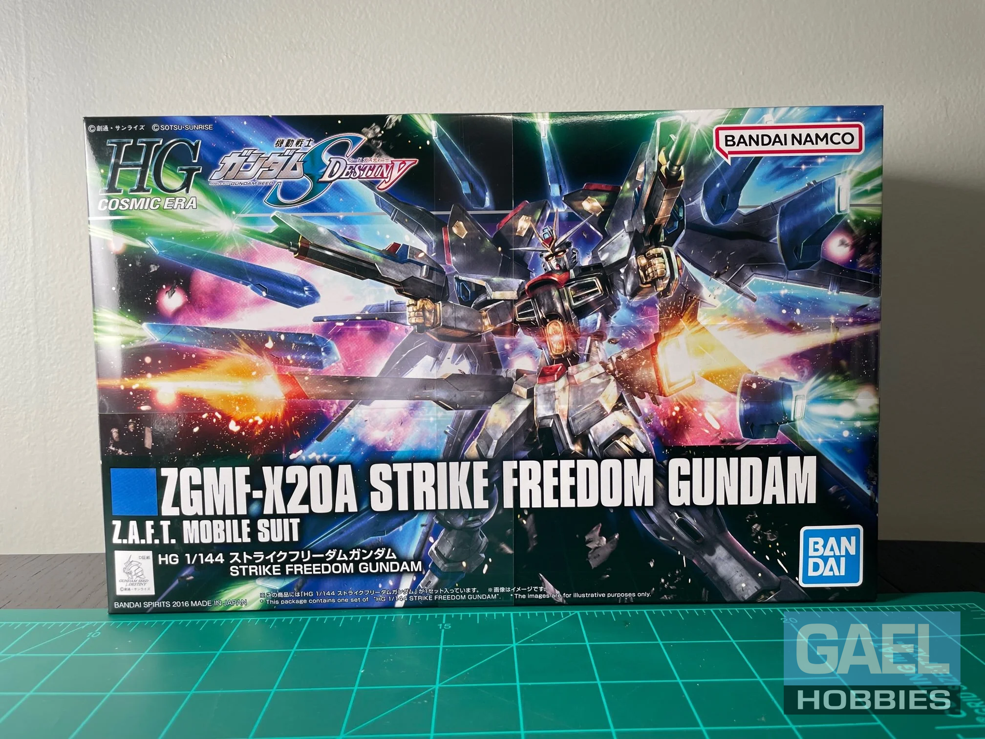 1/144 Bandai Strike Freedom ZGMF-X20A (HG) #201