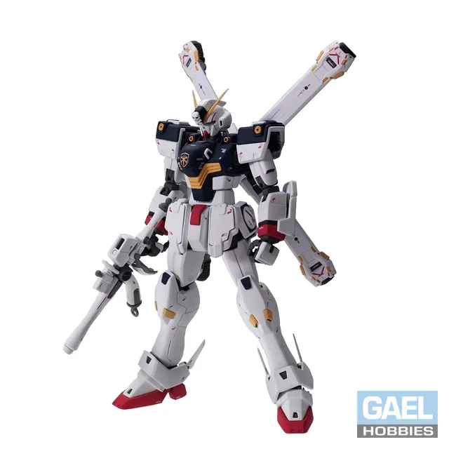 1/100  Bandai Crossbone Gundam X1 Ver Ka (MG)