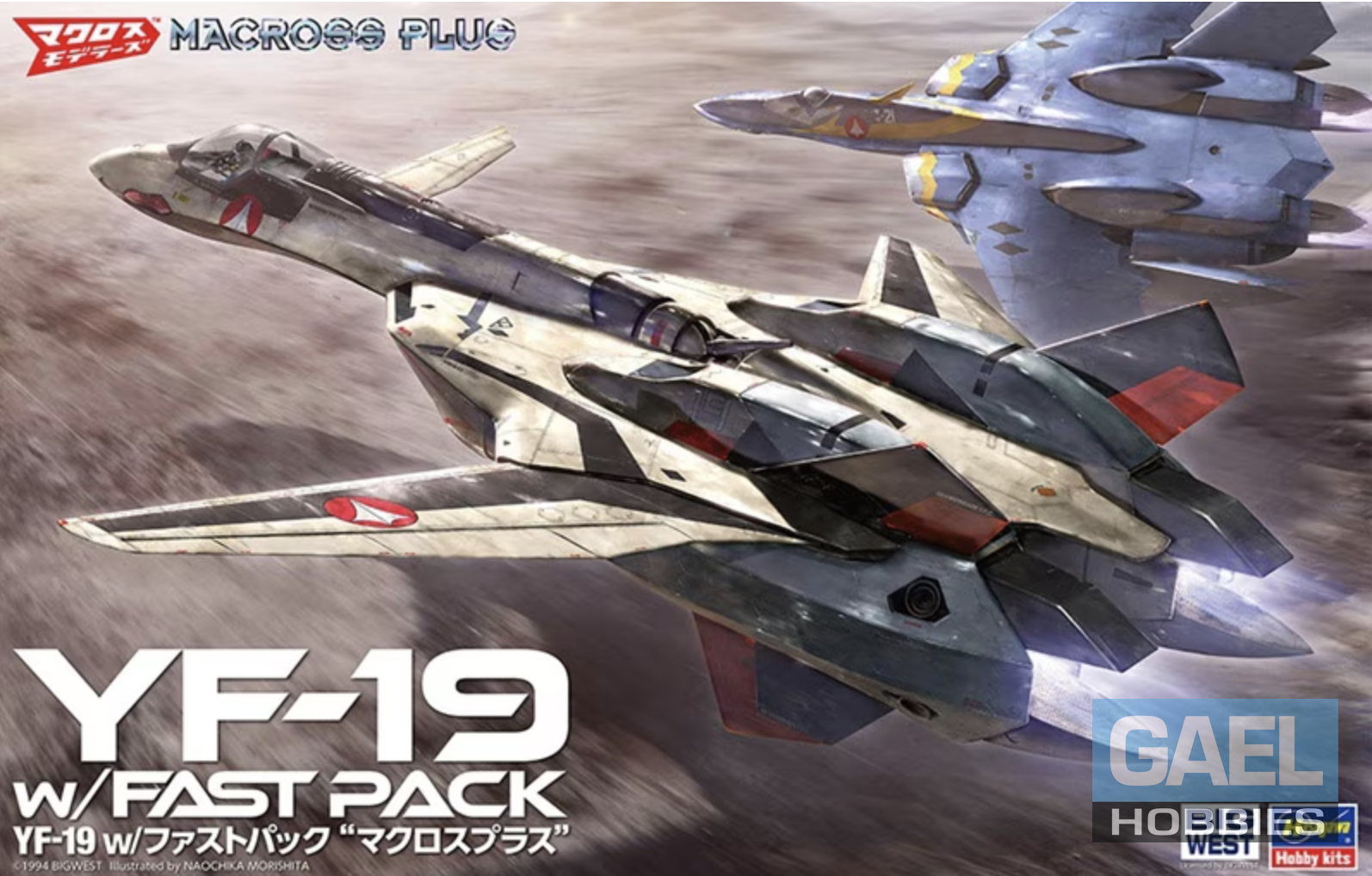 1/48 Hasegawa YF-19 w/ Fast Pack #65888