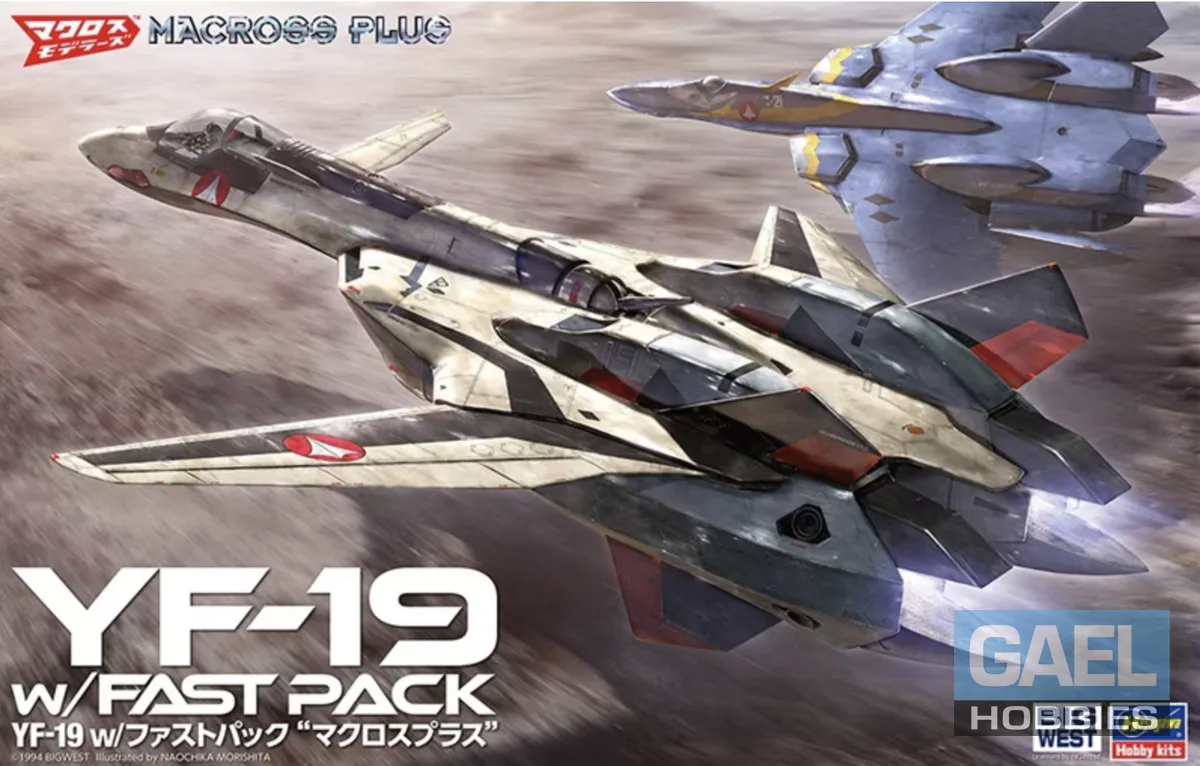 1/48 Hasegawa YF-19 w/ Fast Pack #65888