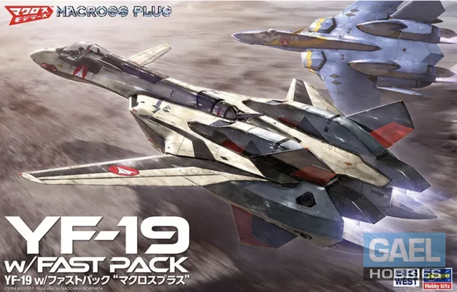 1/48 Hasegawa YF-19 w/ Fast Pack #65888