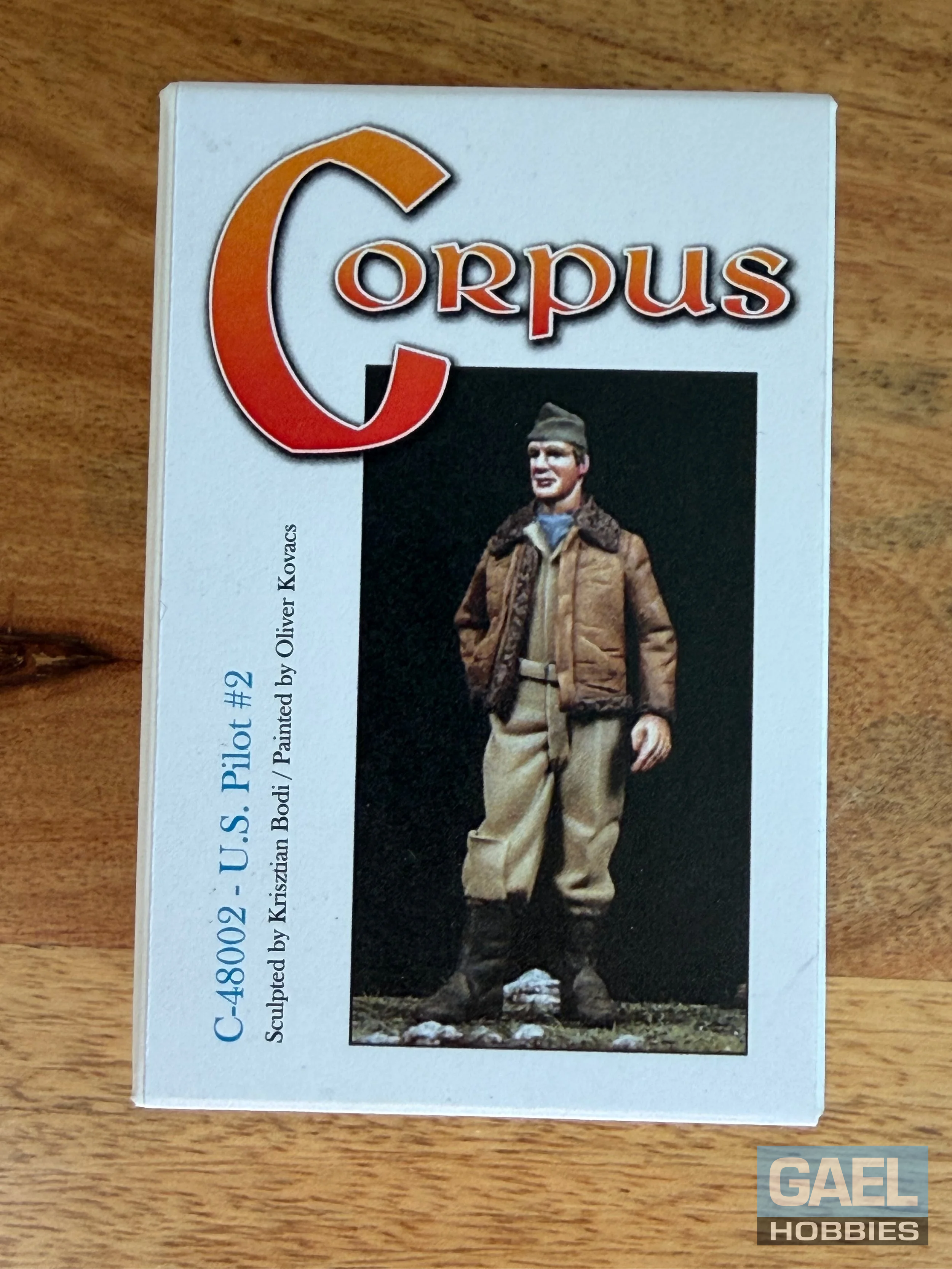 1/48 The Bodi Miniatures U.S. Pilot #2 #C-48002