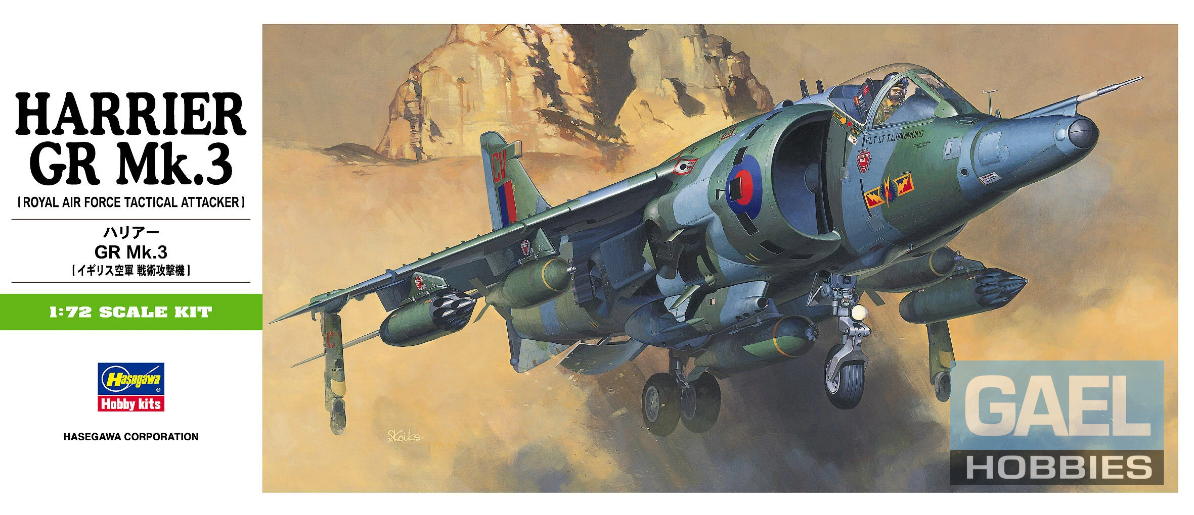 1/72 Hasegawa Harrier GR Mk.3