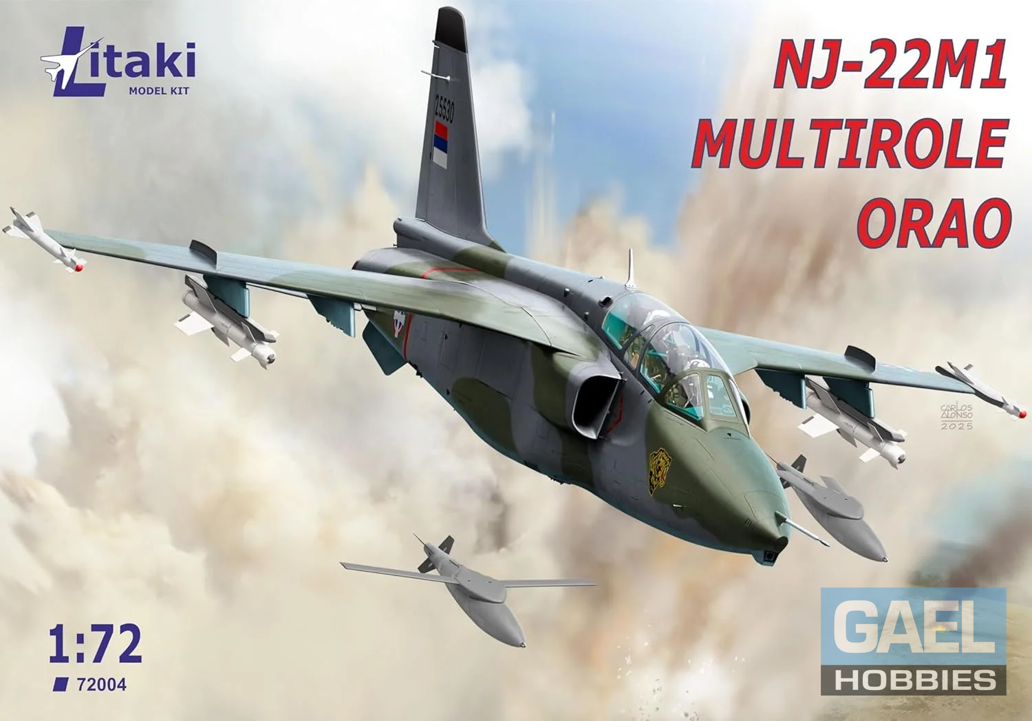 1/72 Litaki NJ-22M1 MULTIROLE ORAO Multirole Strike Aircraft #72004